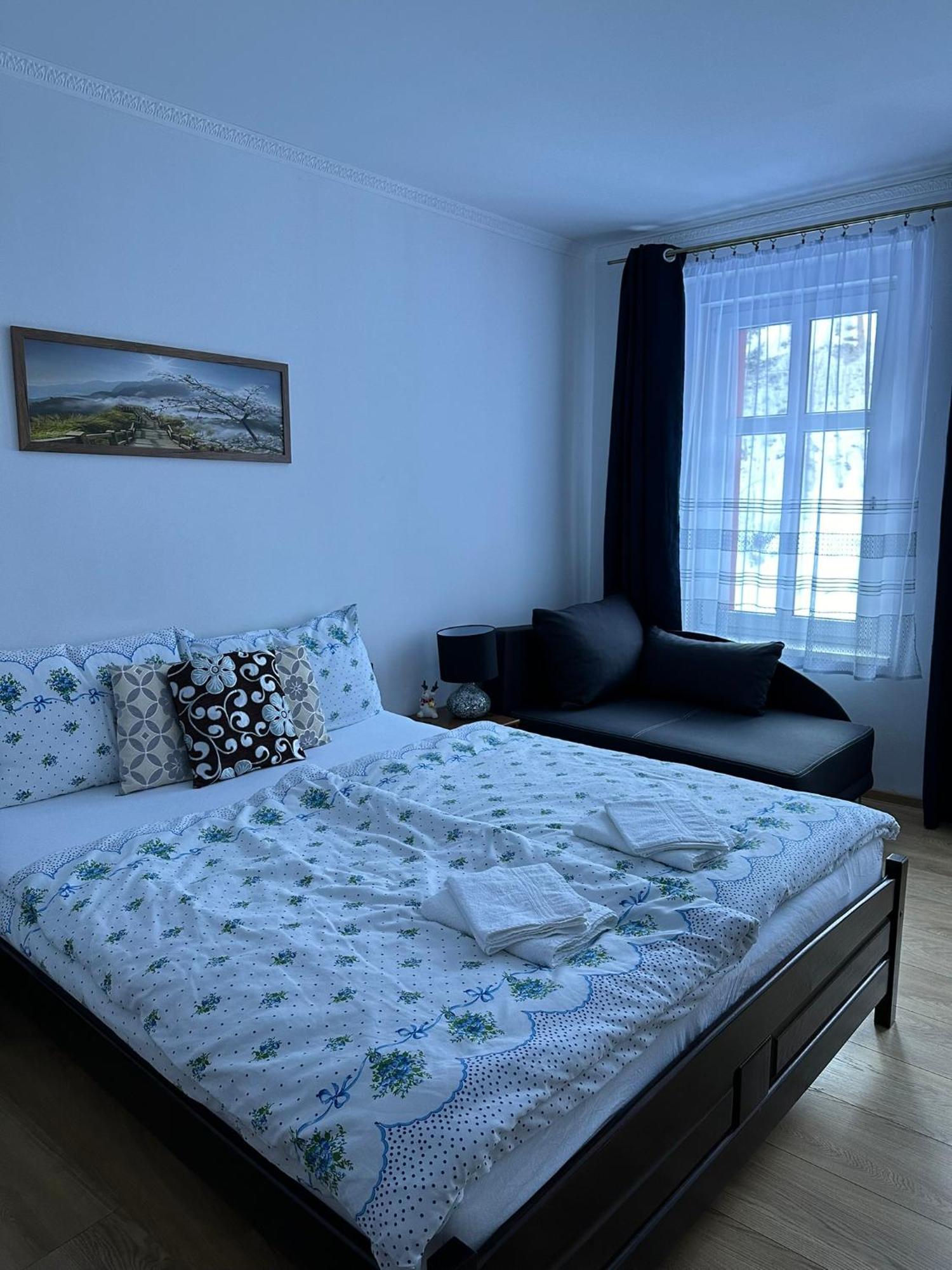 Apartman V Krusnych Horach-Free Parking Jachymov Exterior photo